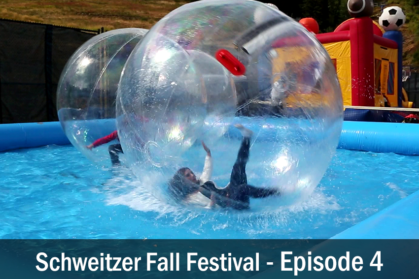 Fall Fest